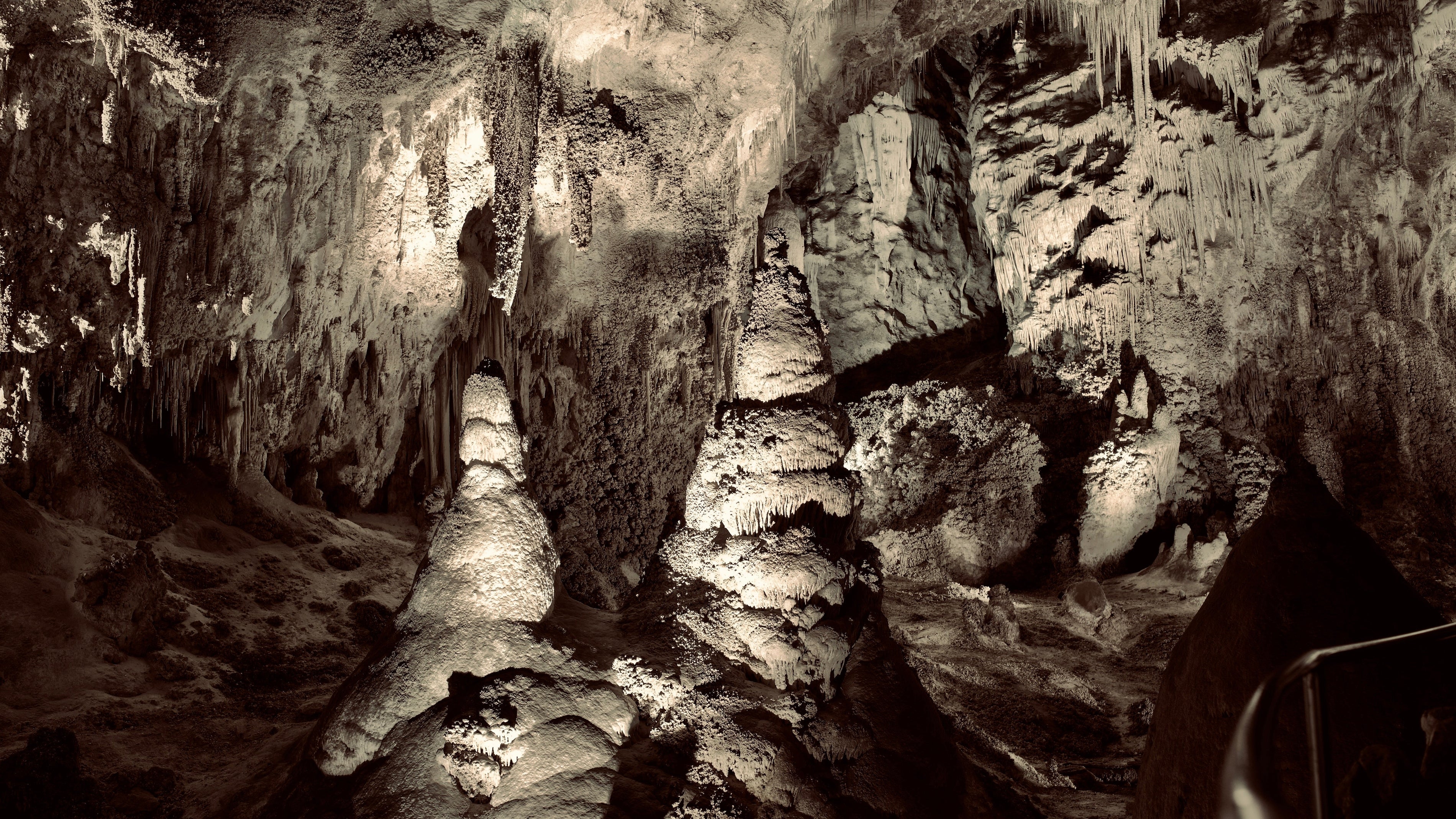 Carlsbad Caverns National Park [Field Guide]