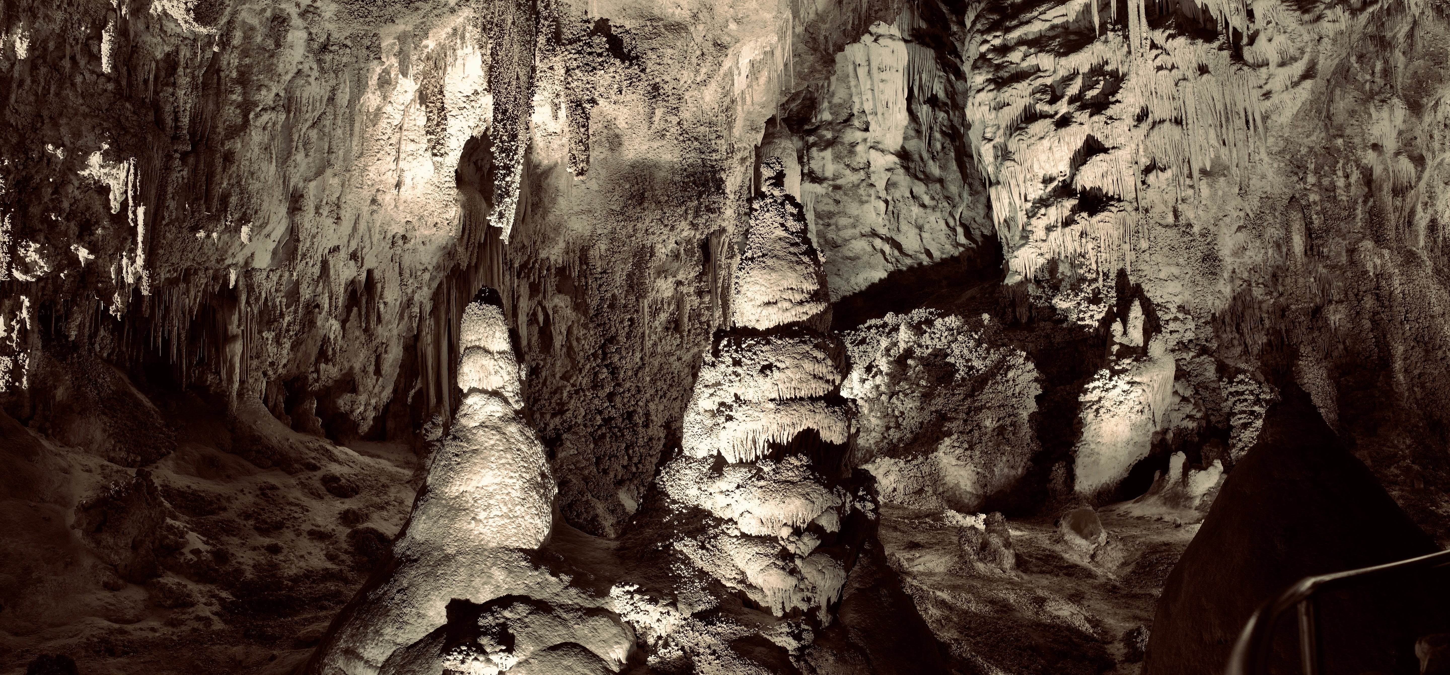 Carlsbad Caverns National Park [Field Guide]