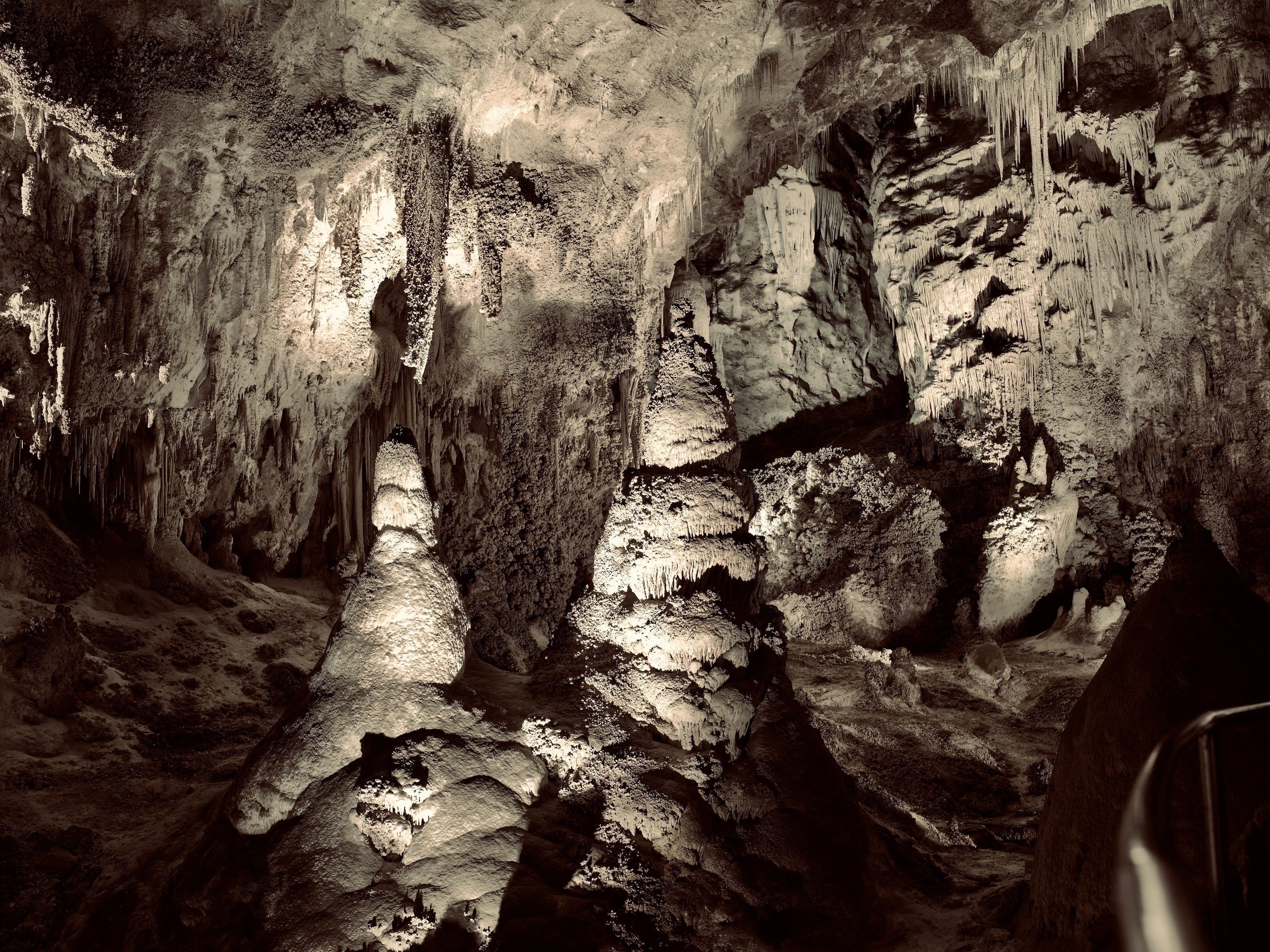 Carlsbad Caverns National Park [Field Guide]