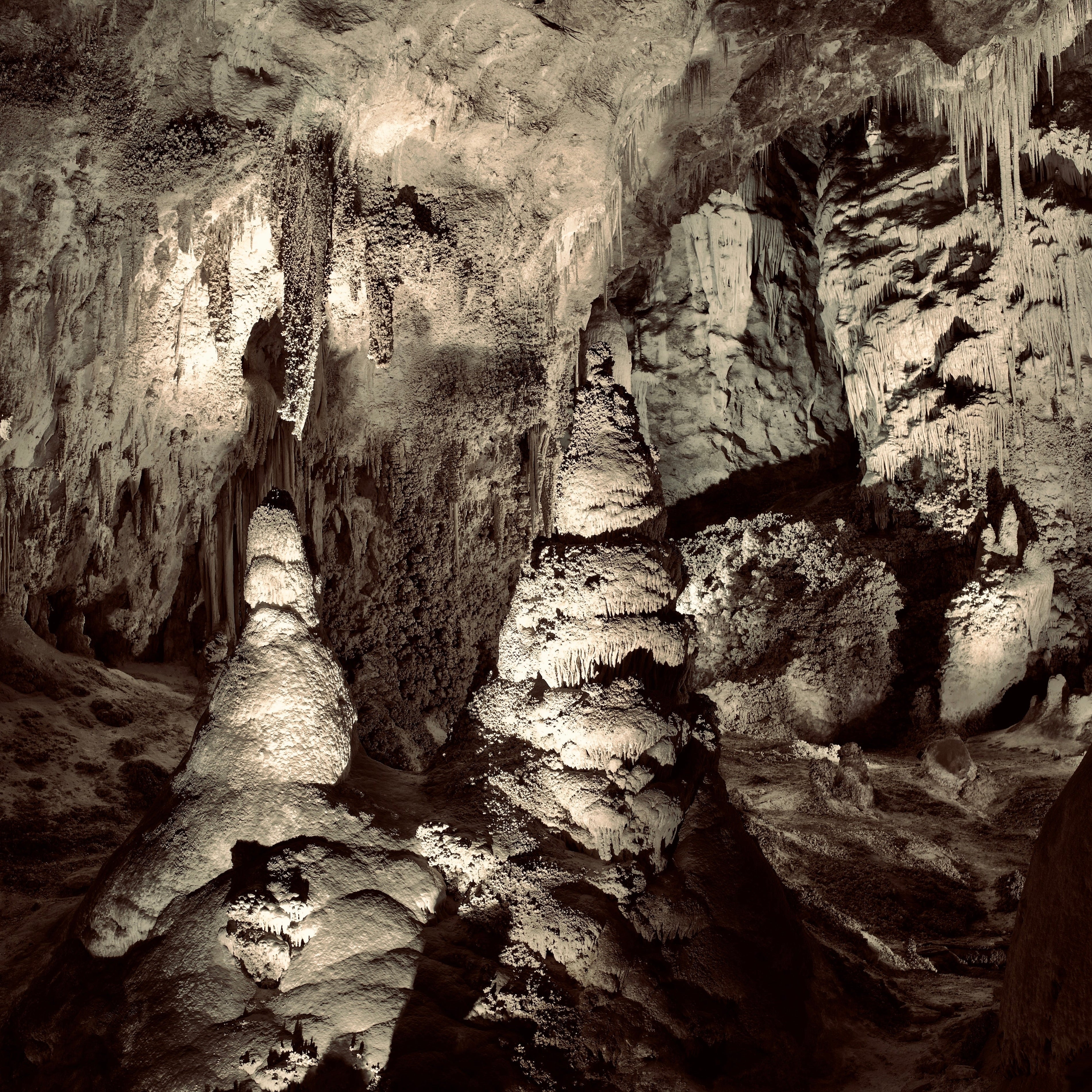 Carlsbad Caverns National Park [Field Guide]