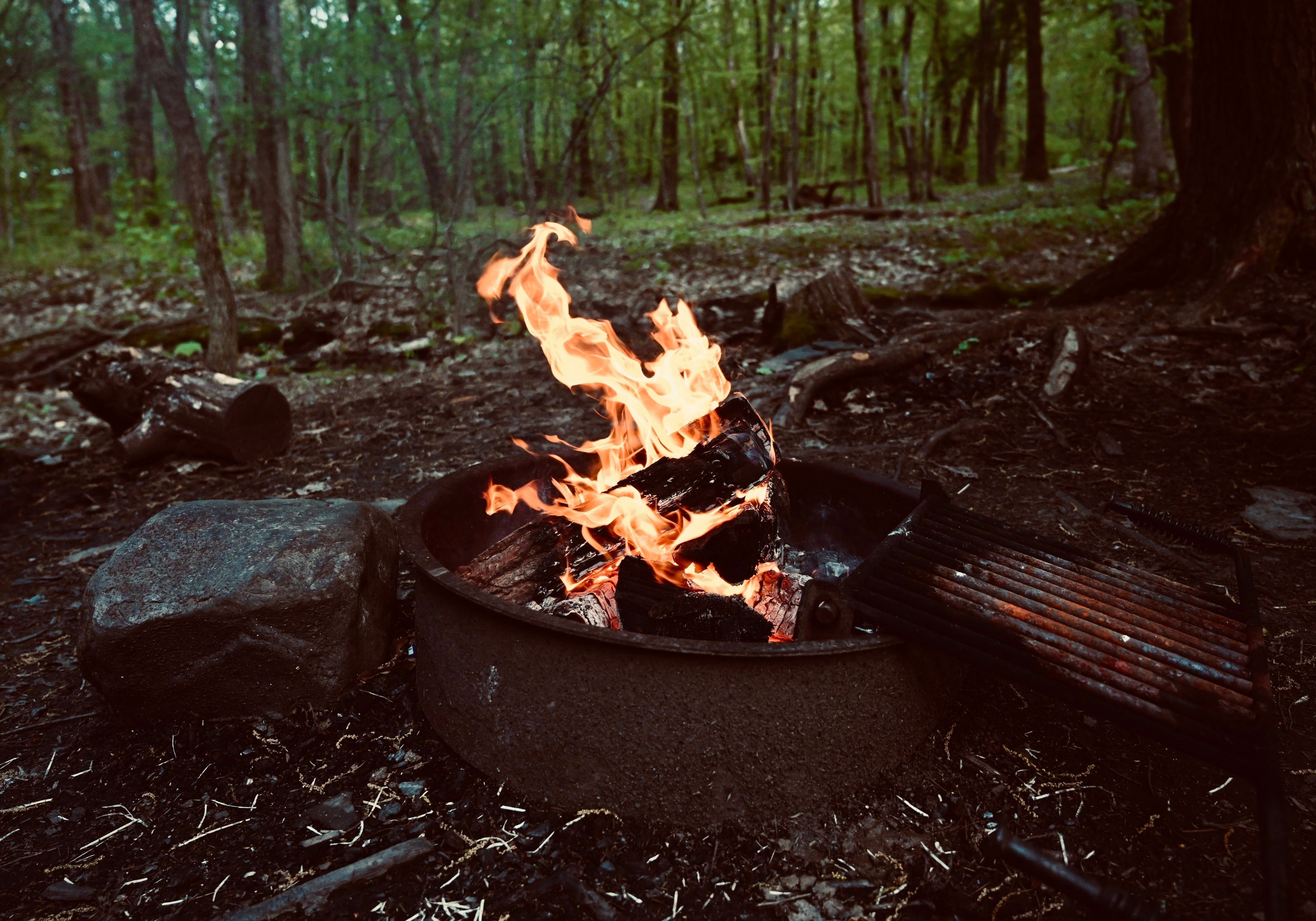 Where the Day Ends in Firelight
