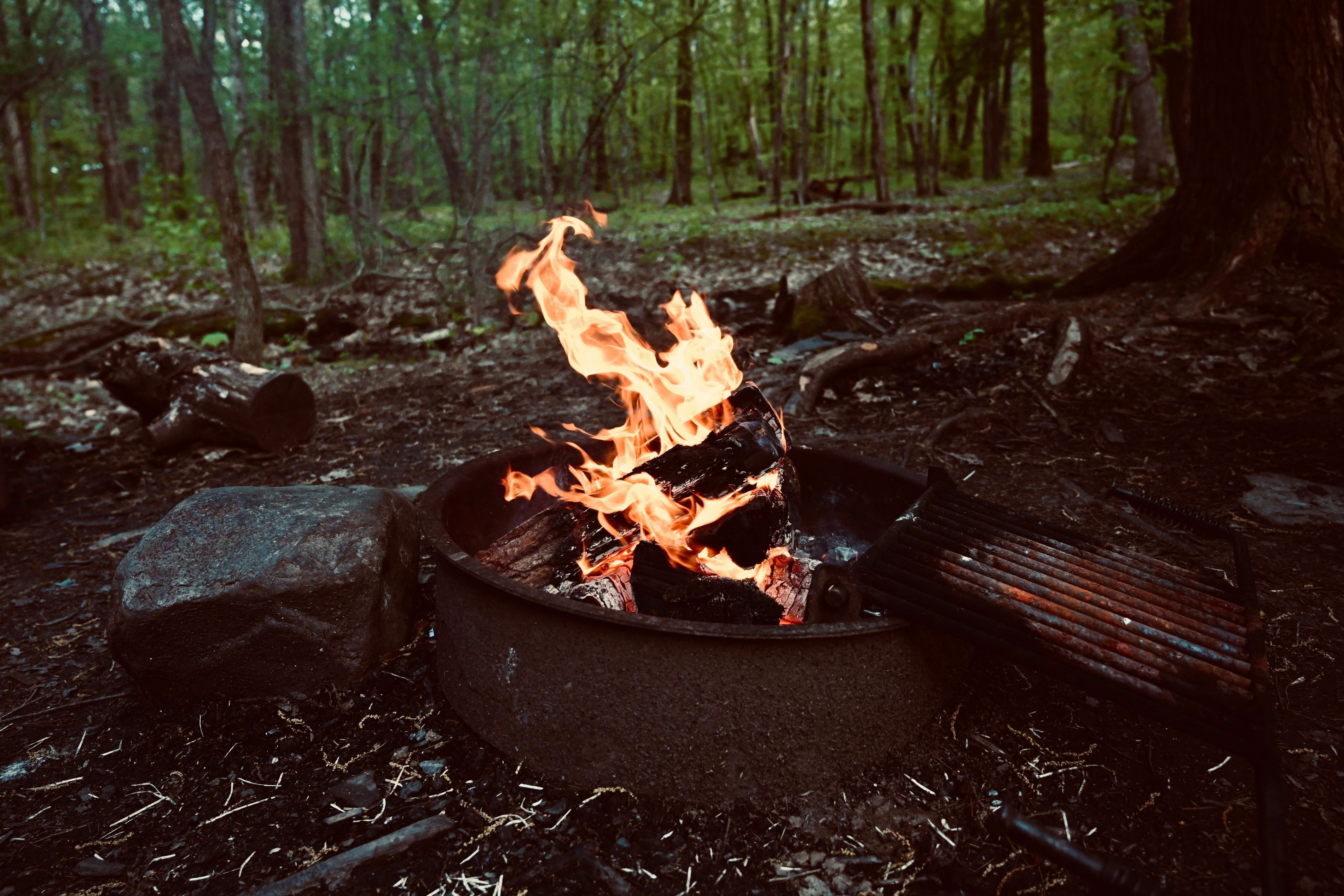 Where the Day Ends in Firelight