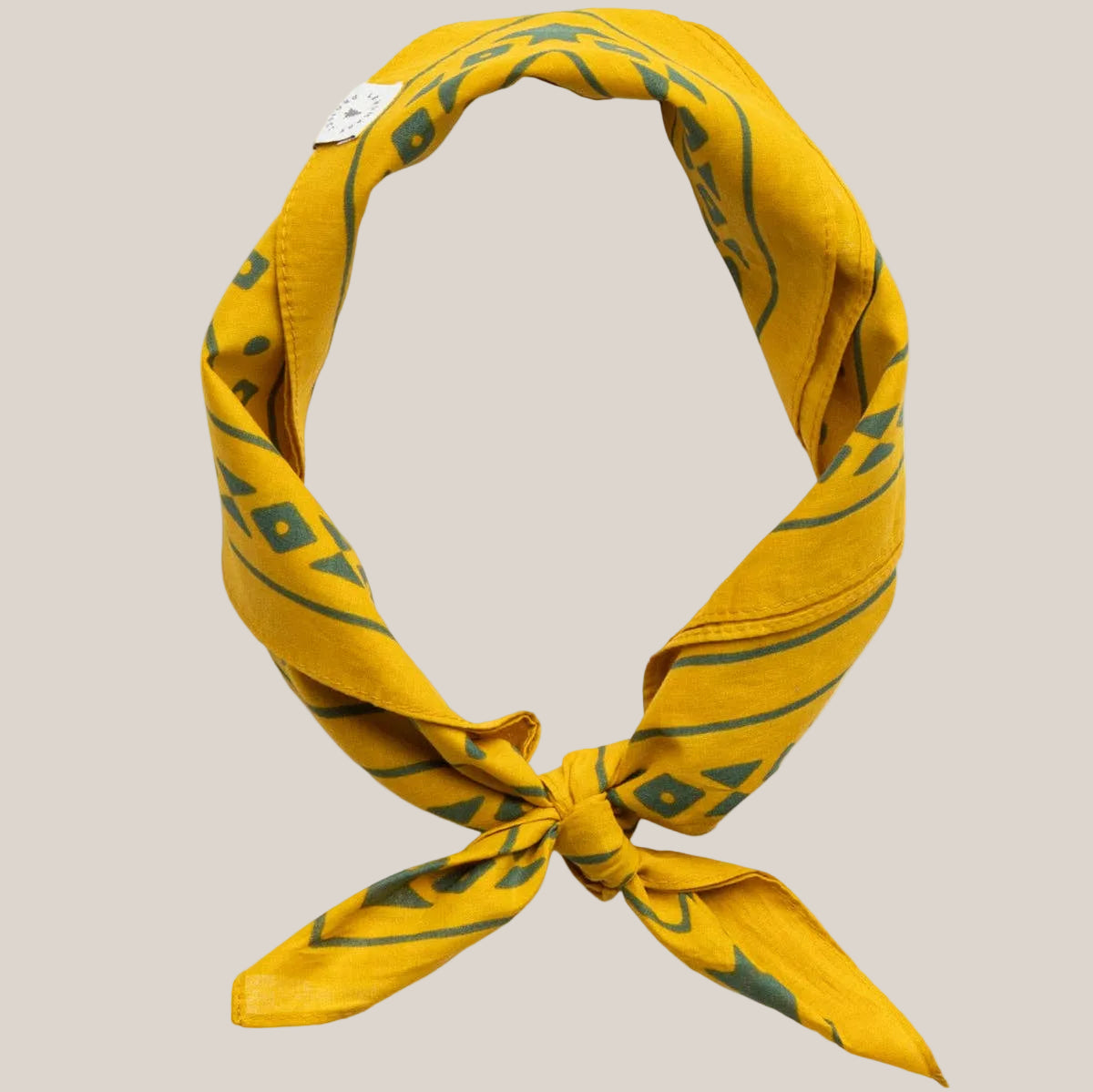 Smokey Bear Bandana