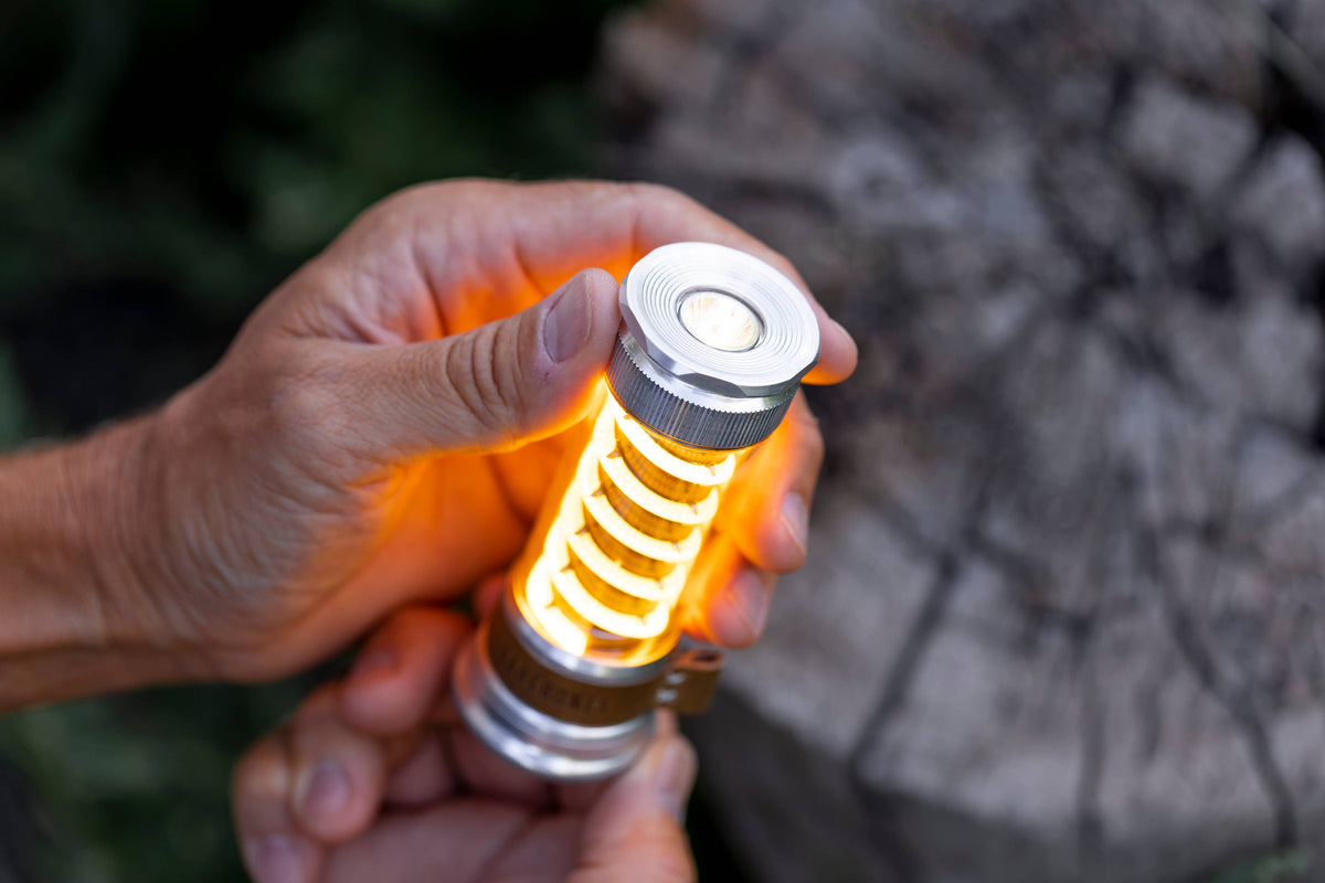 Edison Light Stick