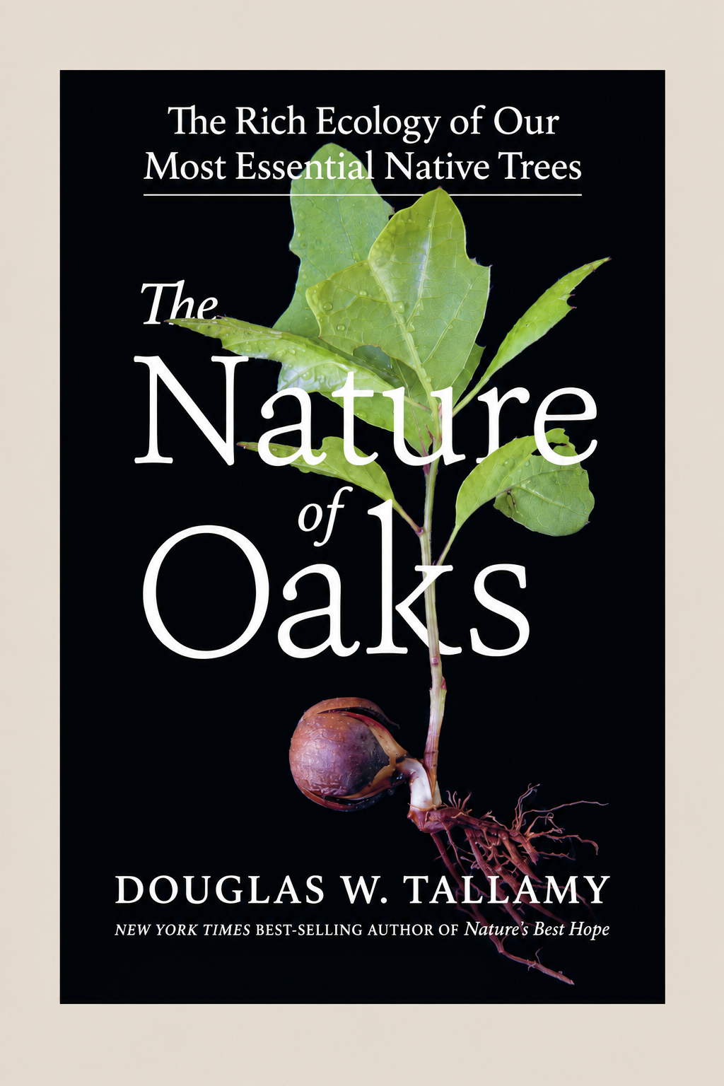 The Nature of Oaks
