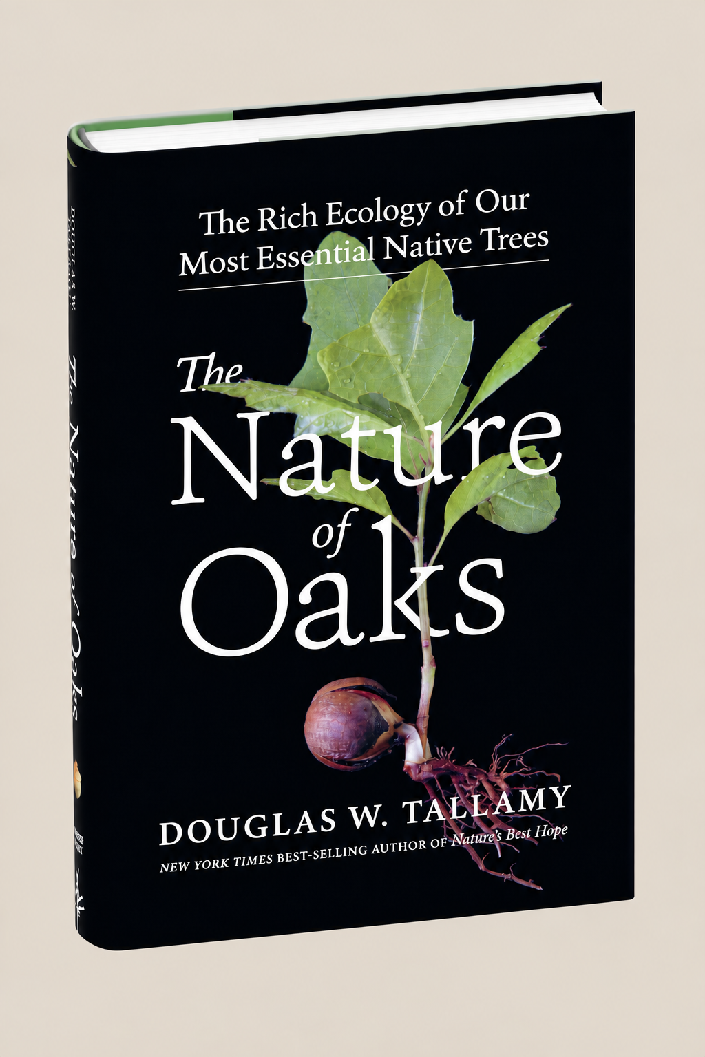 The Nature of Oaks