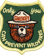 Only You Forestry Embroidered Patch