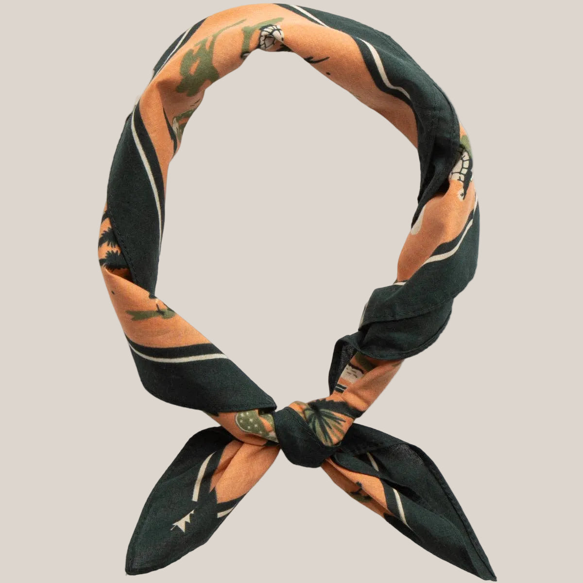 Desert Dwellers Bandana